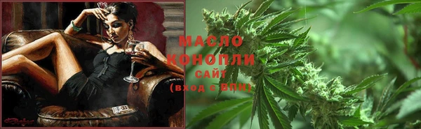 хмурый Осинники