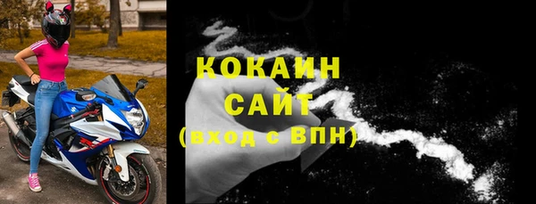 сатива Осташков
