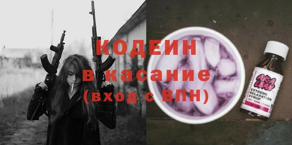 хмурый Осинники