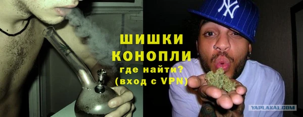 хмурый Осинники