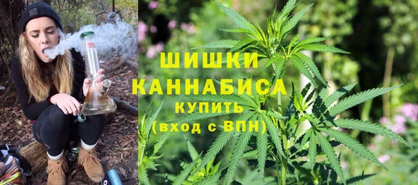 хмурый Осинники