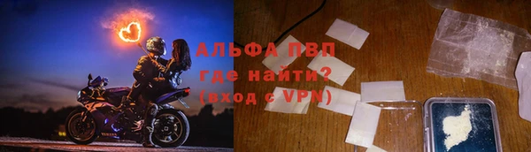 сатива Осташков