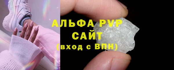 хмурый Осинники