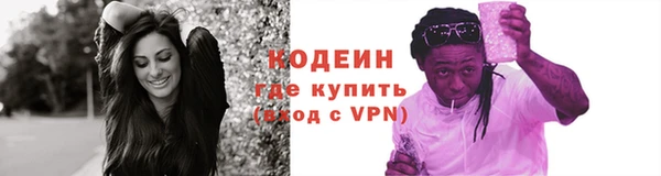 хмурый Осинники