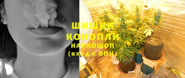 хмурый Осинники