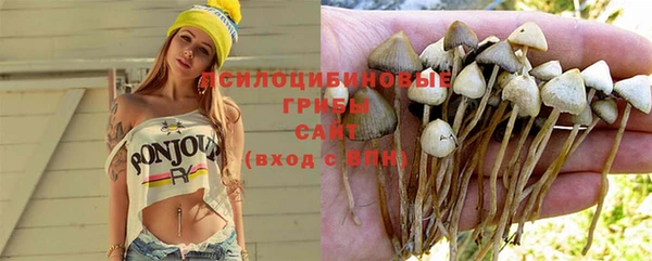 сатива Осташков