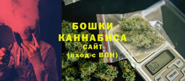 хмурый Осинники