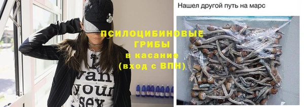 сатива Осташков