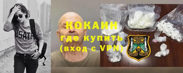 хмурый Осинники