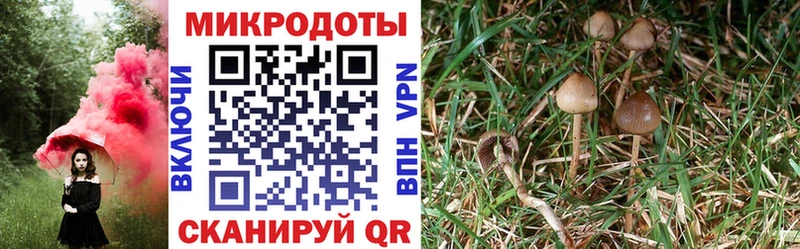 как найти наркотики  Кудымкар  Галлюциногенные грибы Magic Shrooms 