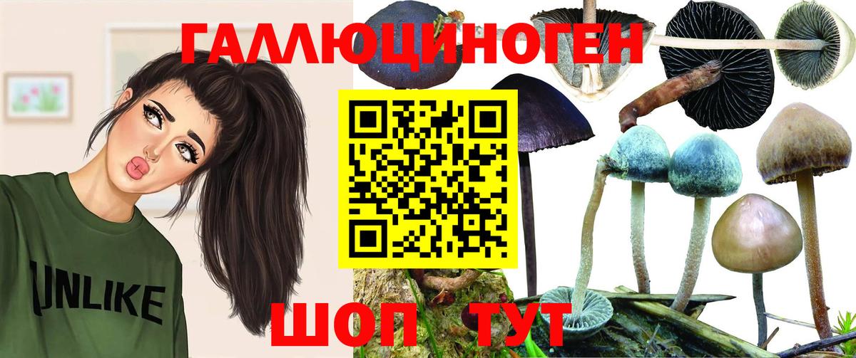 Галлюциногенные грибы ЛСД Кудымкар