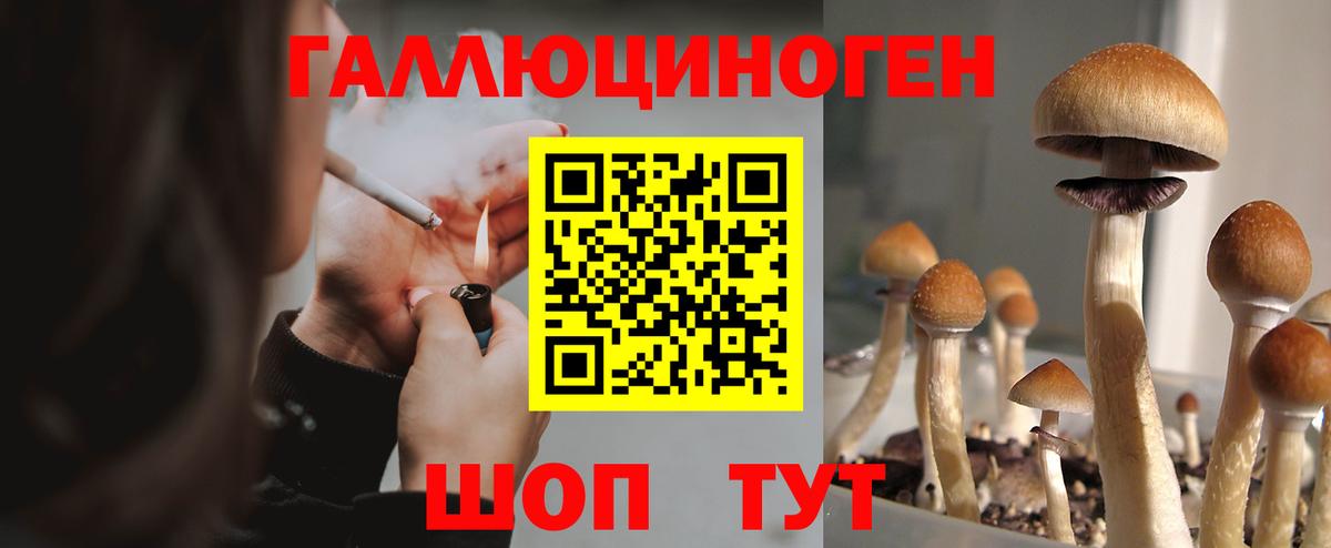 Галлюциногенные грибы прущие грибы  Кудымкар 